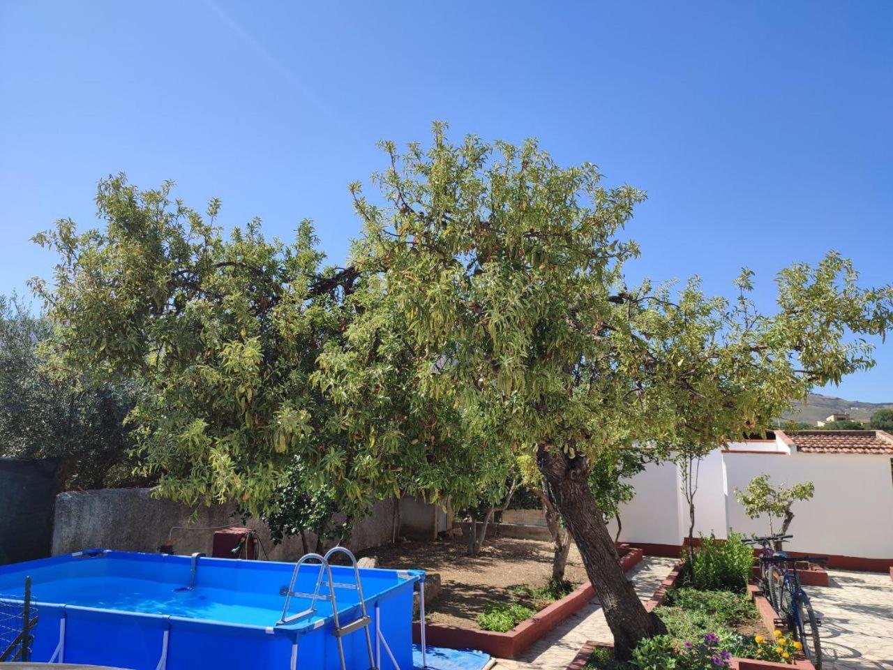 Villa Rosa Castellammare del Golfo Εξωτερικό φωτογραφία